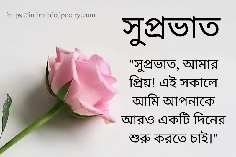 romantic good morning quote in bengali