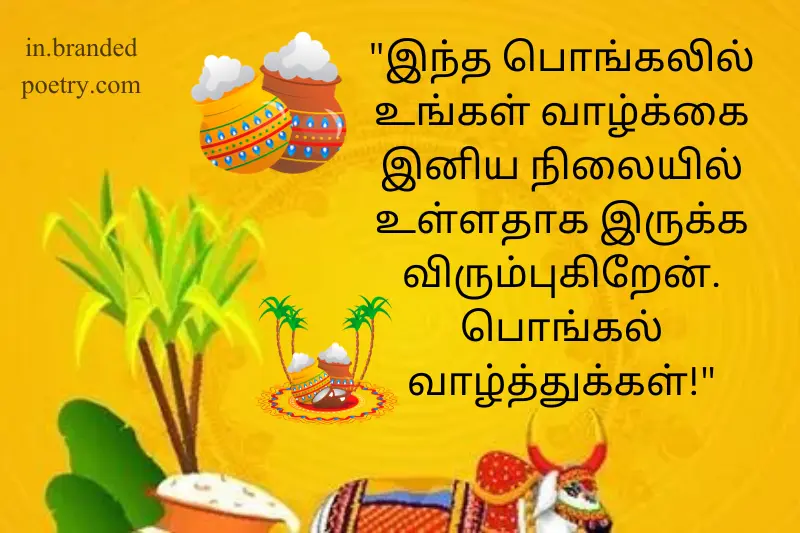 creative pongal wishes in tamil