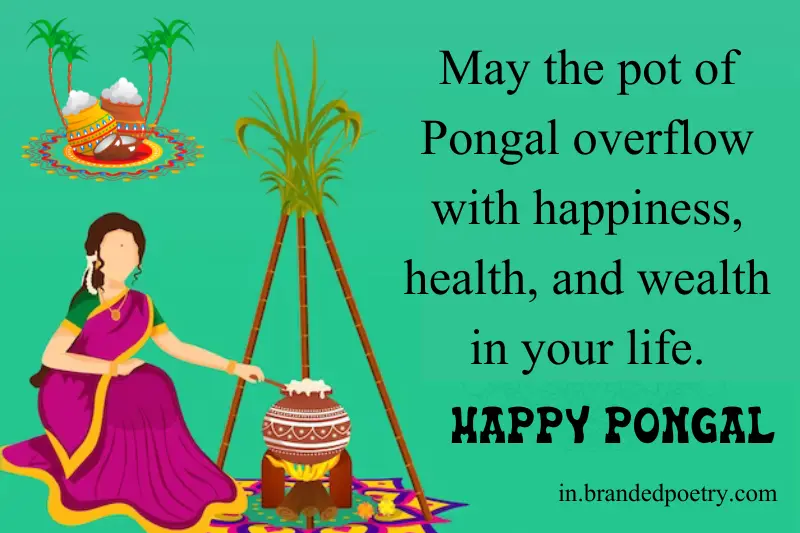happy kaanum pongal wishes in english