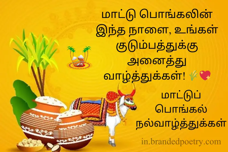 mattu pongal quotes in tamil
