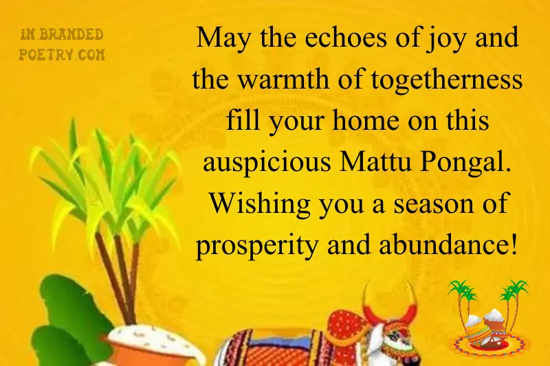 mattu pongal wishes in english