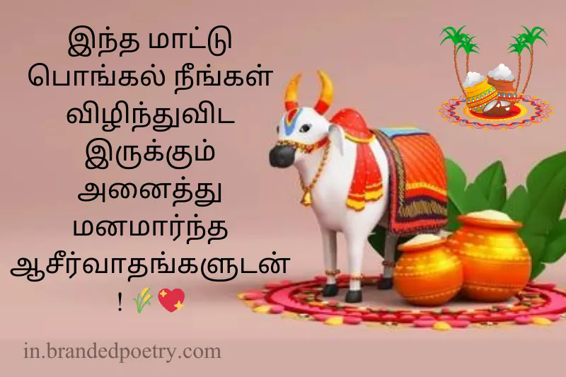 mattu pongal wishes in tamil