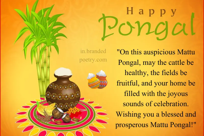 mattu pongal wishes