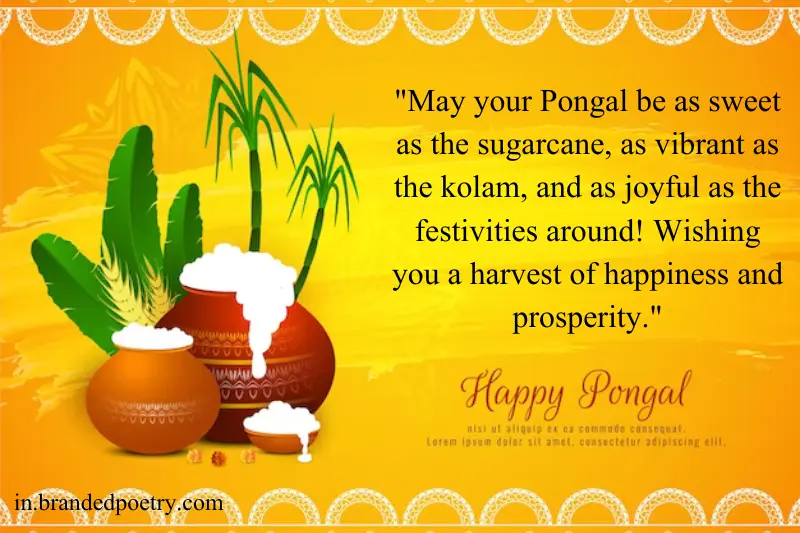 pongal festival wishes