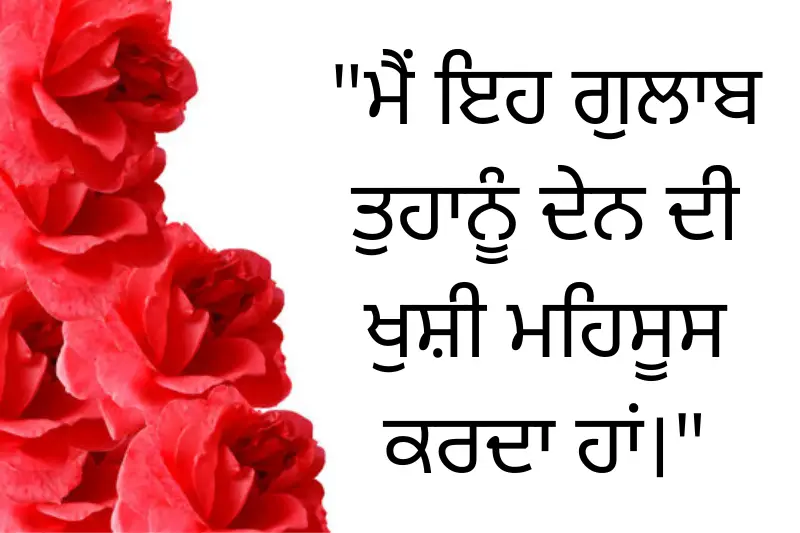 happy rose day quote card in punjabi