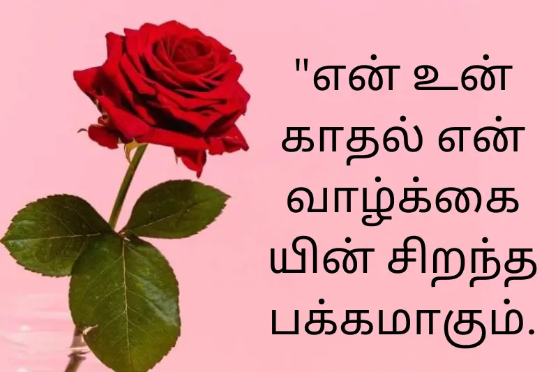 happy rose day quote card in tamil