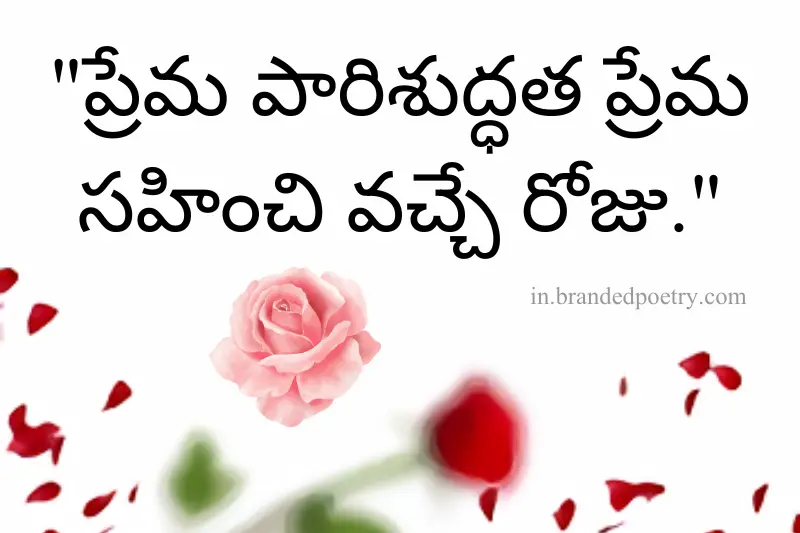 rose day quotes in telugu