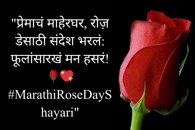 rose day shayari in marathi