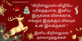 Christmas Wishes, Quotes, Kavitahi, & Messages In Tamil [2024]