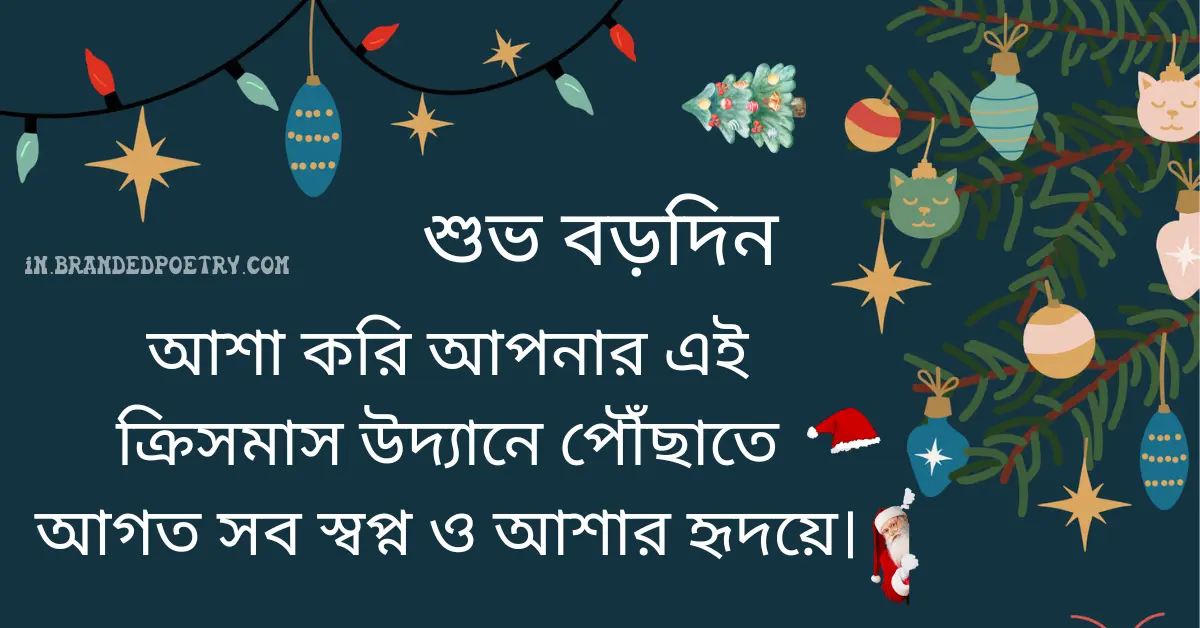 30+ Happy Merry Christmas Wishes In Bengali [2024] – শুভ বড়দিন