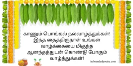 30+ Happy Kaanum Pongal Wishes & Greetings In Tamil [2024]