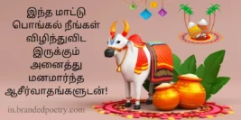 30+ Happy Mattu Pongal Wishes & Quotes In Tamil [2024] 