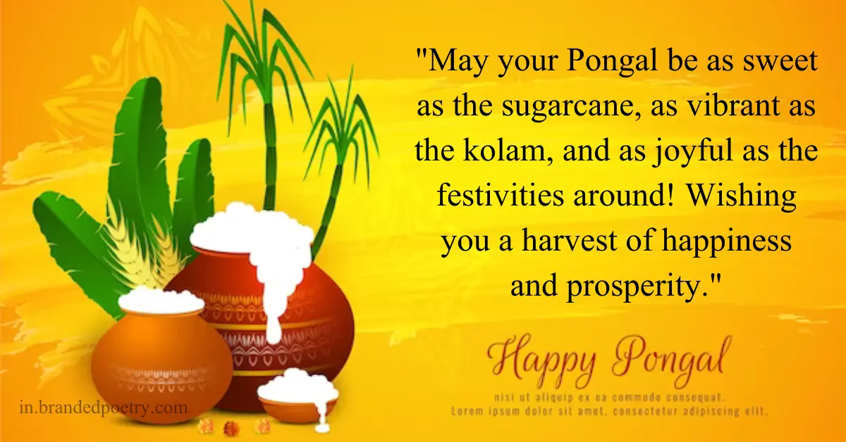 30+ Happy Pongal Festival Wishes, Quotes & Captions [2024]