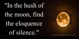 30+ New Mauni Amavasya Quotes [2024] – Amavasya Greetings