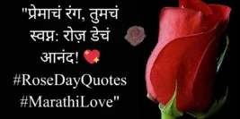 30+ Happy Rose Day Quotes, Shayari & Status In Marathi [2024]