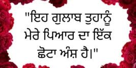30+ Happy Rose Day Quotes In Punjabi 2024 – ਗੁਲਾਬ ਦਿਵਸ ਦੀਆਂ ਸ਼ੁਭਕਾਮਨਾਵਾਂ