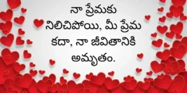 30+ Happy Valentine’s Day Quotes In Telugu 2024 – ప్రేమికుల రోజు శుభాకాంక్షలు
