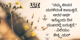 30+ Best Quotes & Kavanagalu On Life In Kannada [2024]