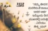 30+ Best Quotes & Kavanagalu On Life In Kannada [2024]