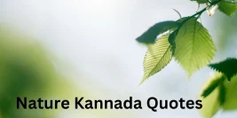77+ Soul-Stirring Nature Kannada Quotes to Inspire & Uplift You