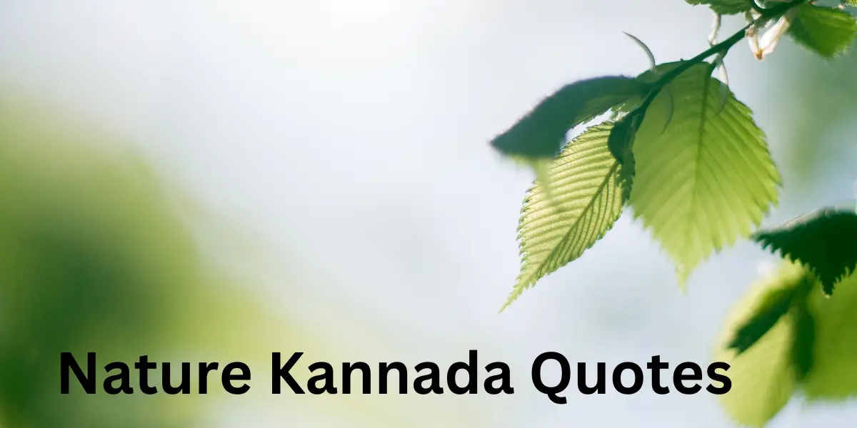 Nature Kannada Quotes