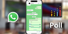 How to Launch a Survey on WhatsApp Easily