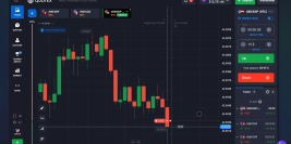 Broker QX: Understanding the Platform and Its Features